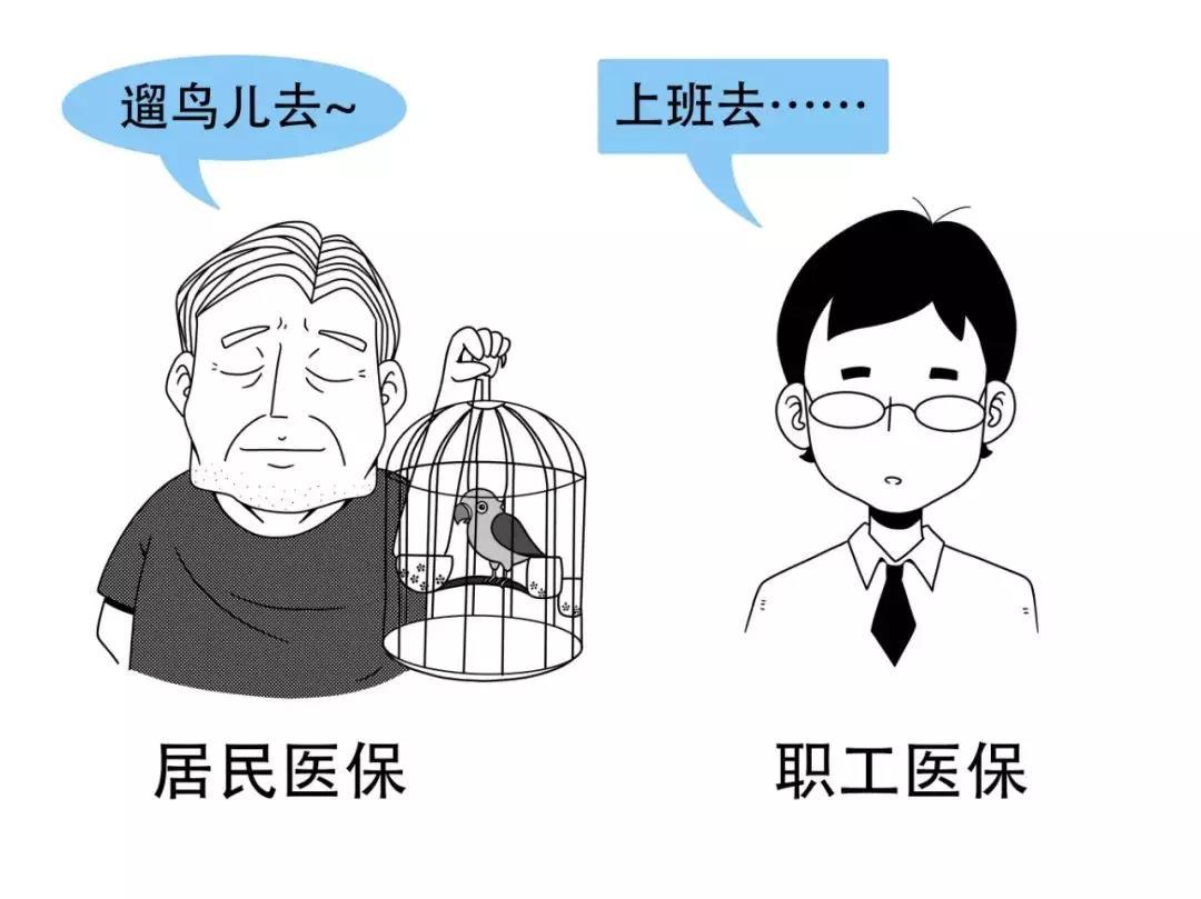 医保政策问答（二） | 一图读懂医保待遇及报销